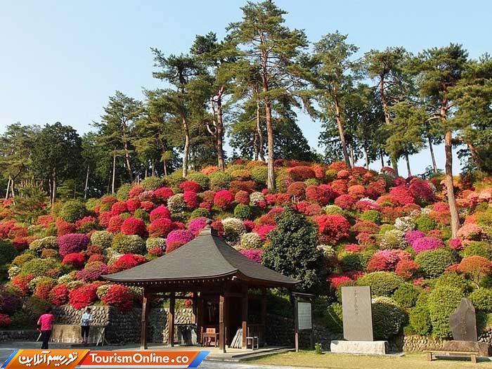 معبد بودایی