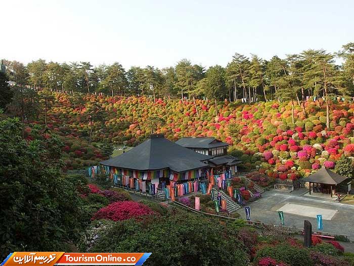 معبد بودایی