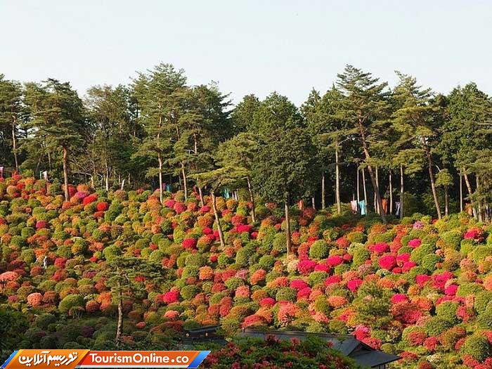 معبد بودایی