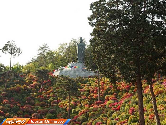 معبد بودایی