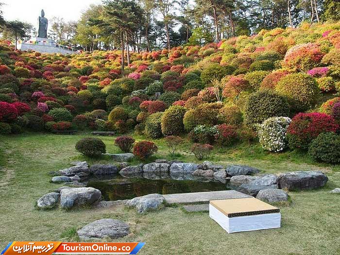 معبد بودایی