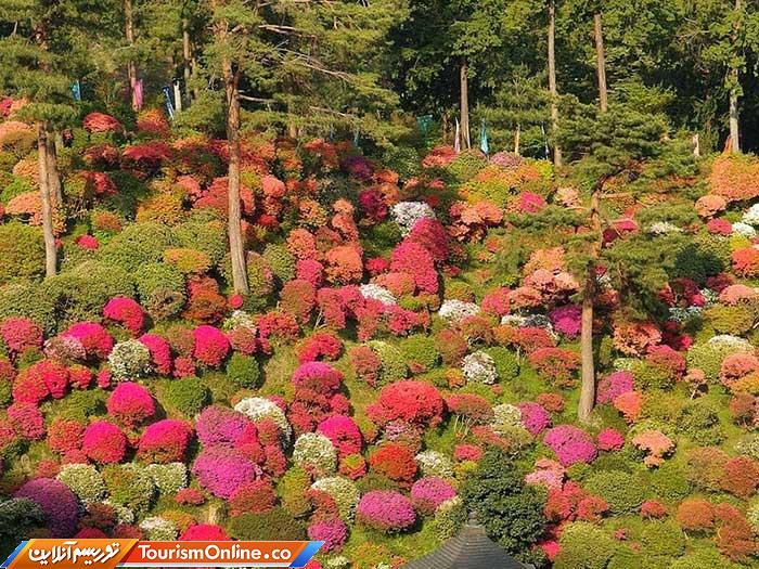 معبد بودایی