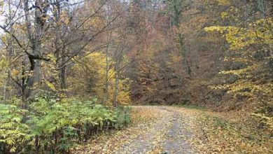 ثبت آثار تاریخی و طبیعی