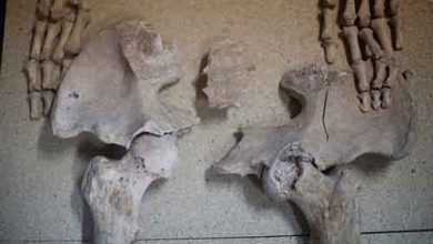 مراسم خاکسپاری