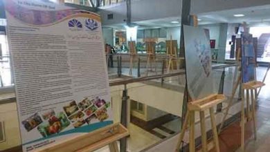 موزه‌های دانشگاهی