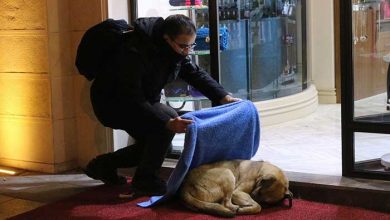 عکسهای خبری