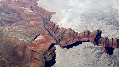 عکسهای خبری