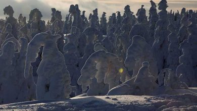 عکسهای خبری