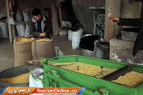 شهر جهانی نخودچی