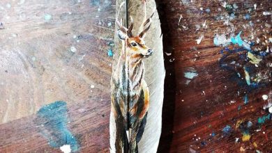 نقاشی روی پر