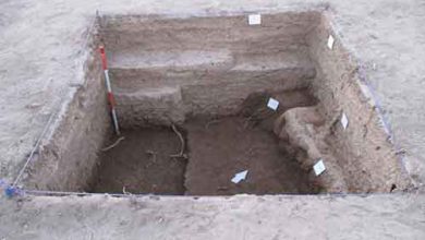 فاضلاب شهری