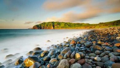 سواحل سنگ ریزه ای