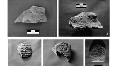 تپۀ گشتاسپی