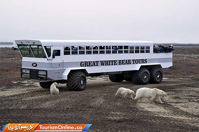 اقامتگاه تاندرا