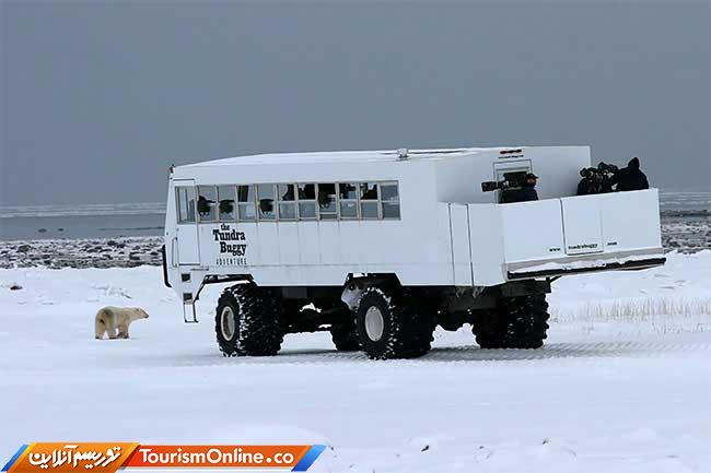 اقامتگاه تاندرا