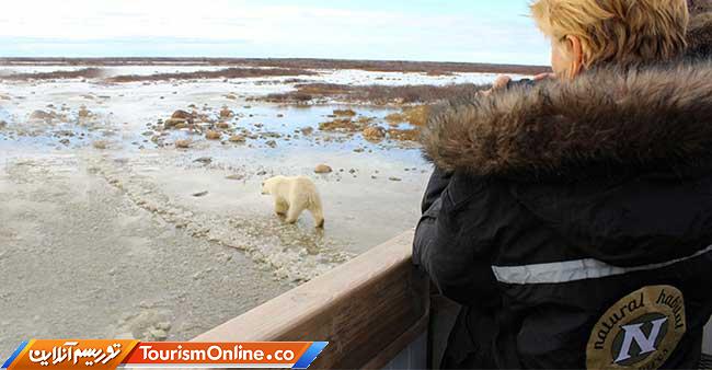 اقامتگاه تاندرا