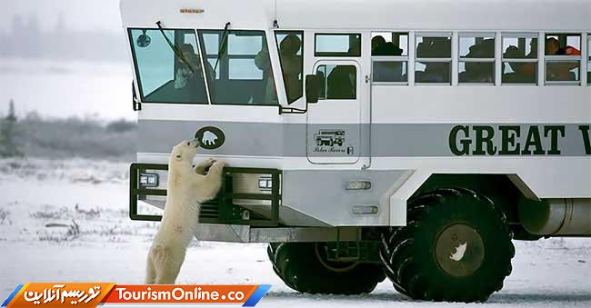 اقامتگاه تاندرا