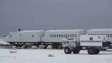 اقامتگاه تاندرا