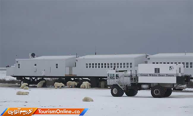 اقامتگاه تاندرا