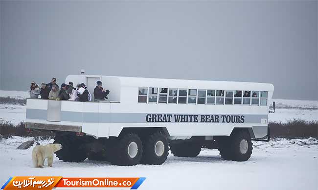 اقامتگاه تاندرا