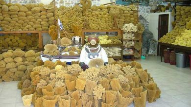 غواصی اسفنجی