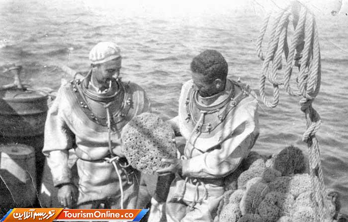 غواصی اسفنجی