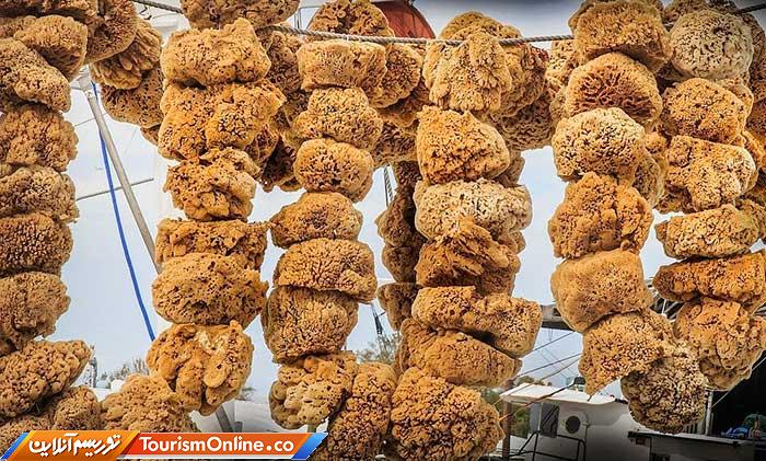 غواصی اسفنجی