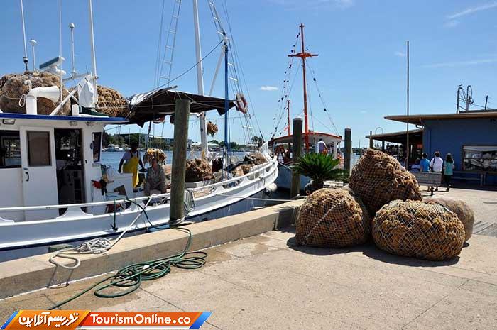 غواصی اسفنجی