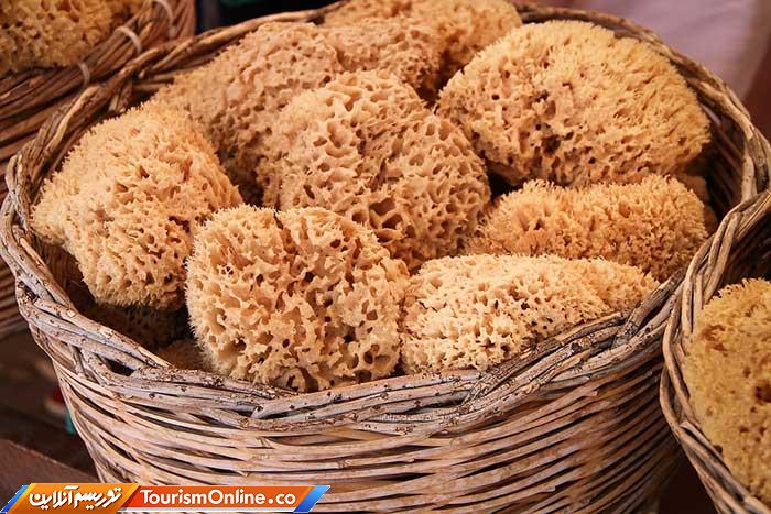 غواصی اسفنجی