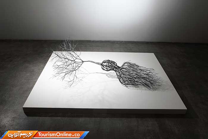 آناتومی انسان