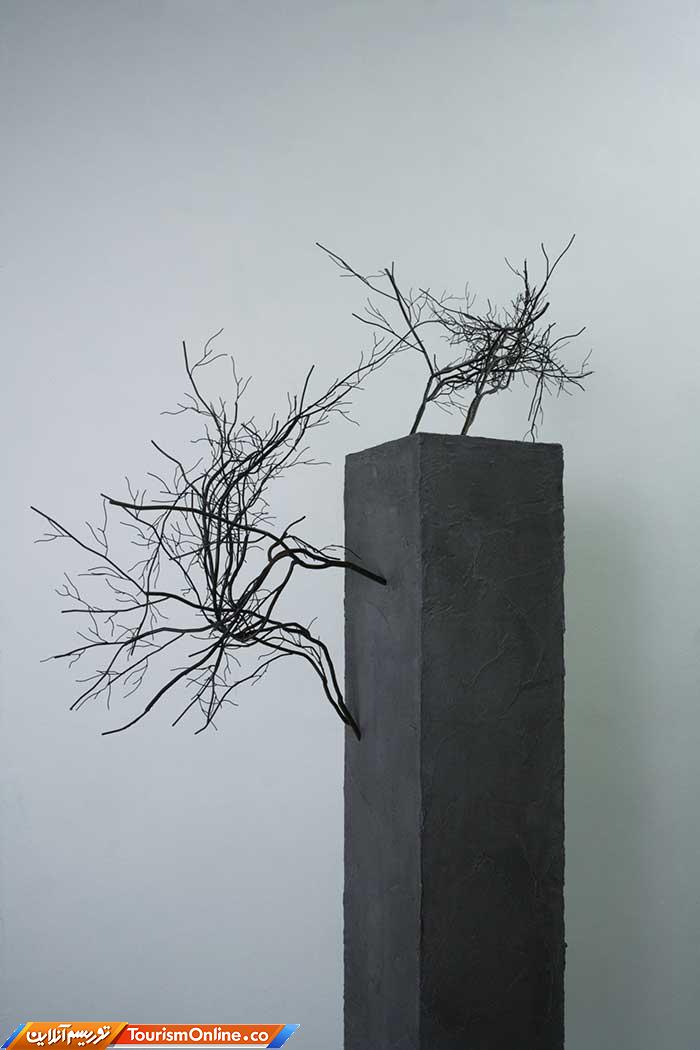 آناتومی انسان