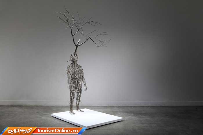 آناتومی انسان