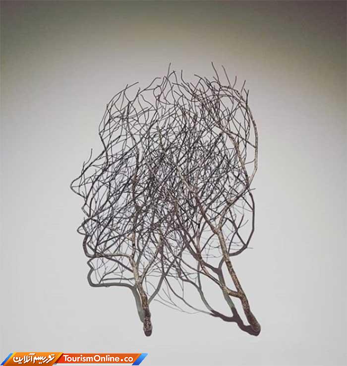 آناتومی انسان