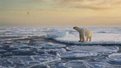 عکاسی در قطب
