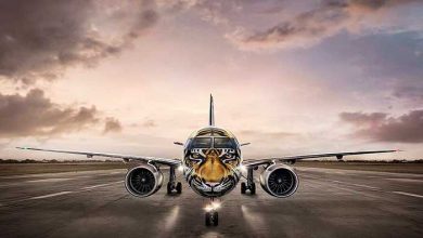 نقاشی هواپیما