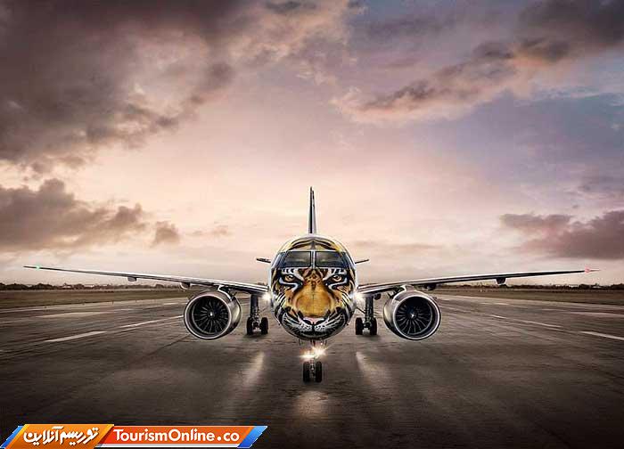 نقاشی هواپیما