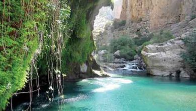 طبیعت‌گردی