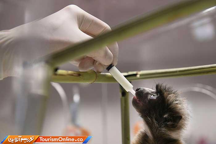 عکسهای خبری