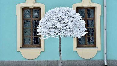 عکسهای منتخب خبری