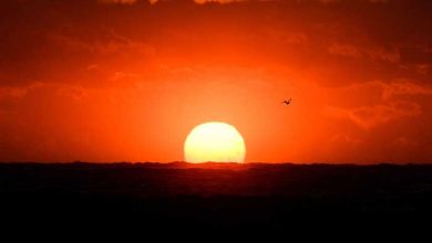 عکسهای منتخب خبری