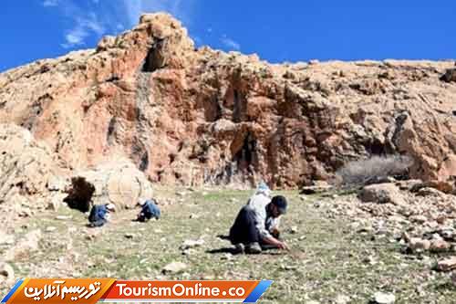 باستان‌شناسی