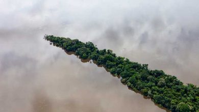 عکاسی در هفت قاره