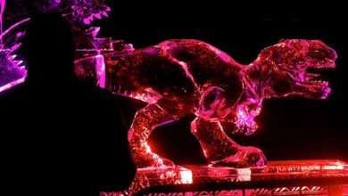 عکسهای خبری