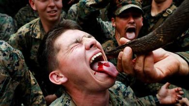 عکسهای خبری