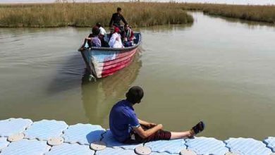 تالاب شادگان