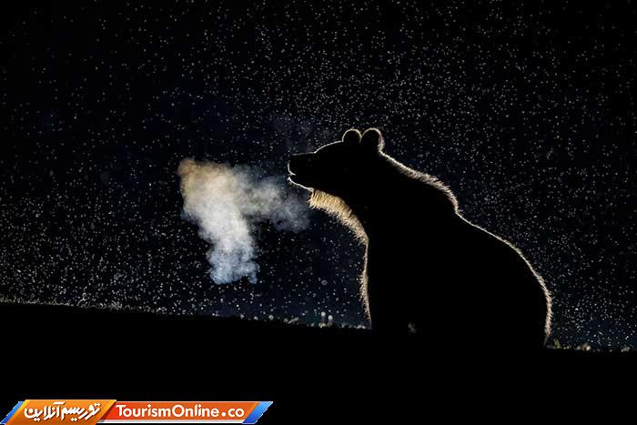 اسمیتسونین