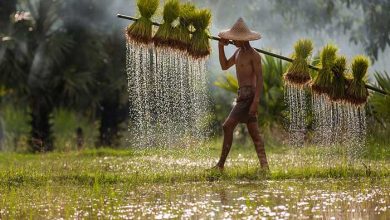 اسمیتسونین