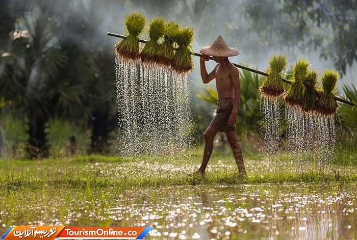 اسمیتسونین