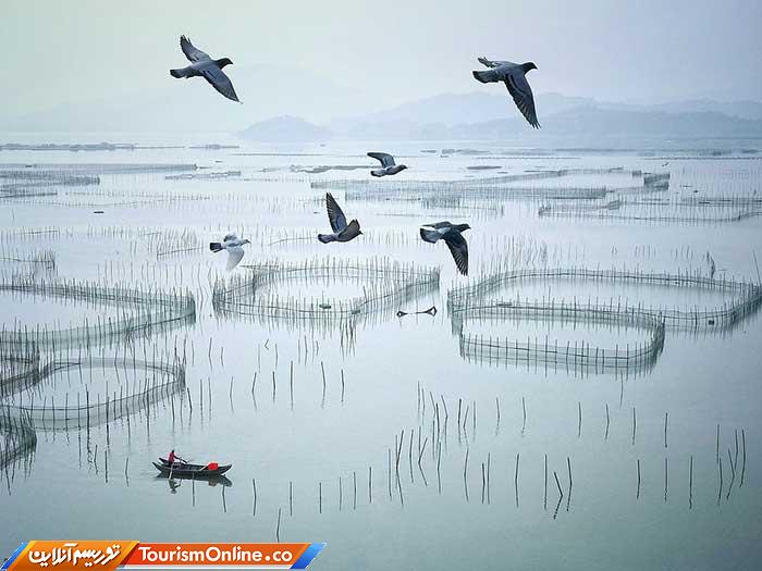 اسمیتسونین