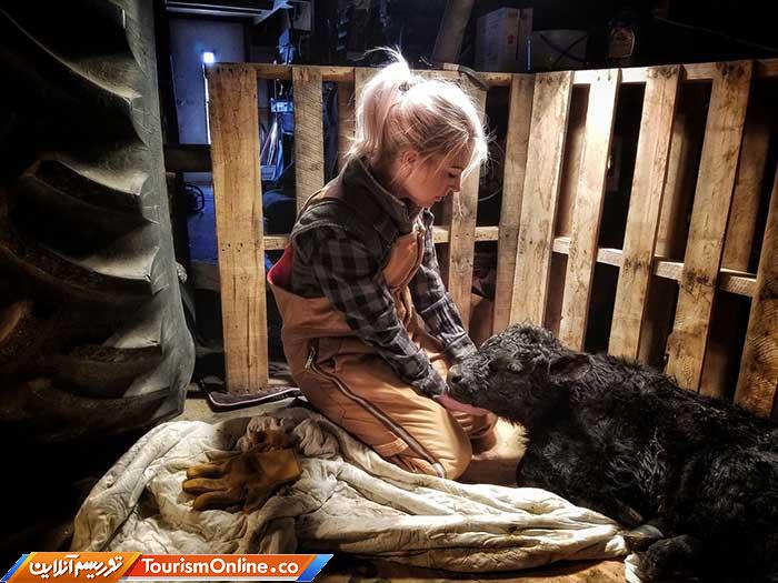 اسمیتسونین